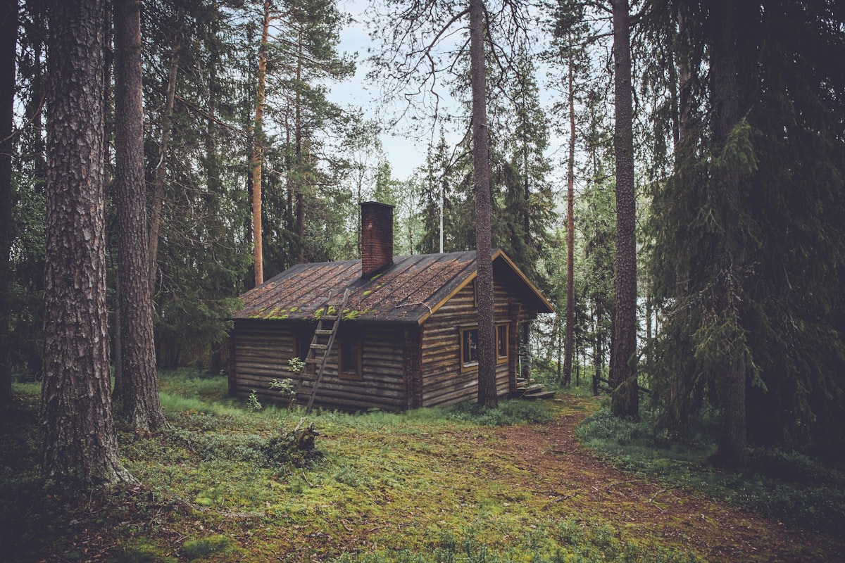 La longère du Grand Chêne en lisière de forêt