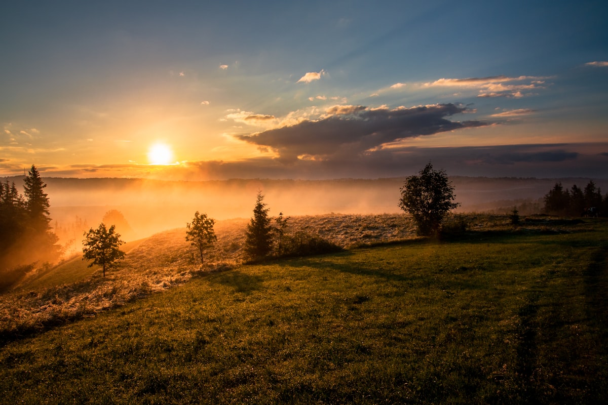 Voir la vue depuis le jardin
