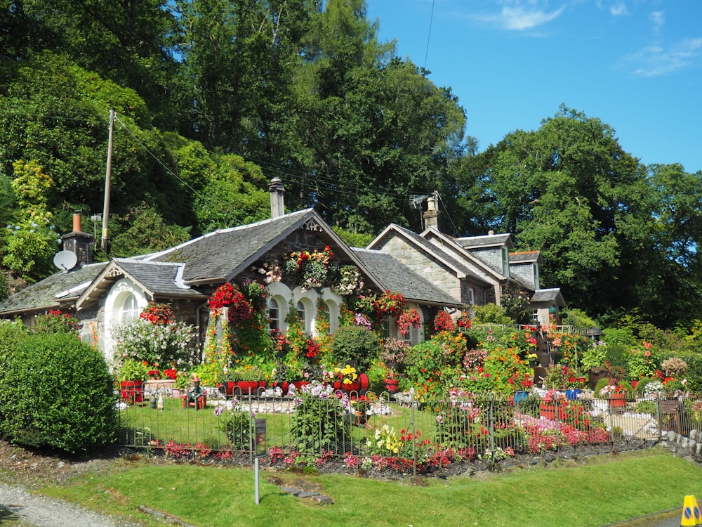 Jardin de cottage foisonnant devant une maison en pierre